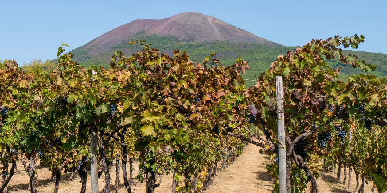 Star Cars di Vittorio Starace