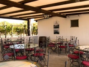 Star Cars di Vittorio Starace