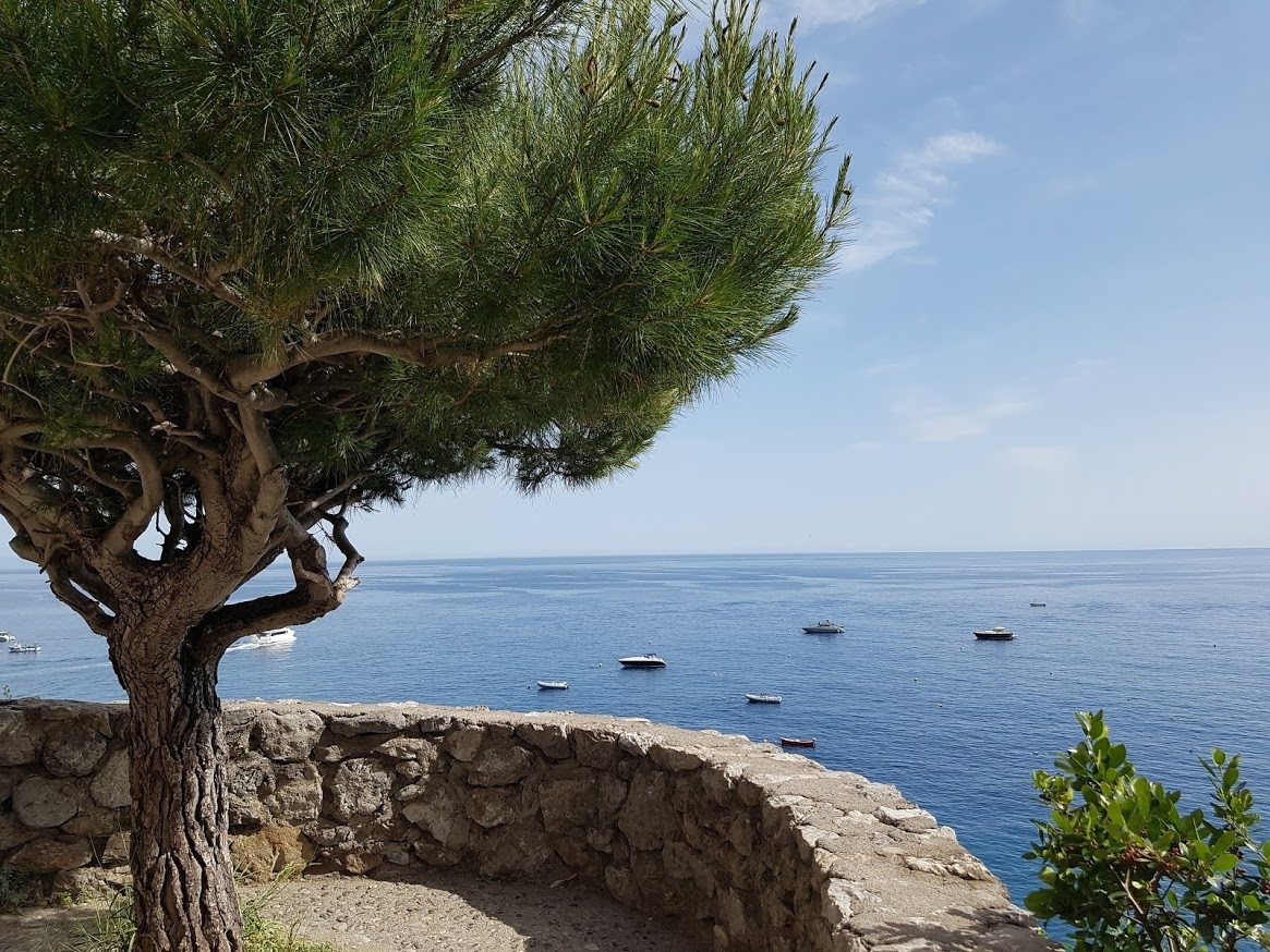 Star Cars di Vittorio Starace