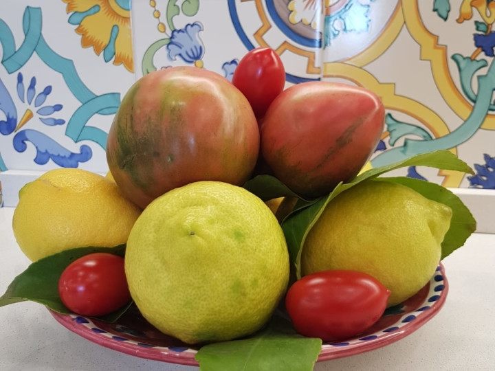 Star Cars di Vittorio Starace