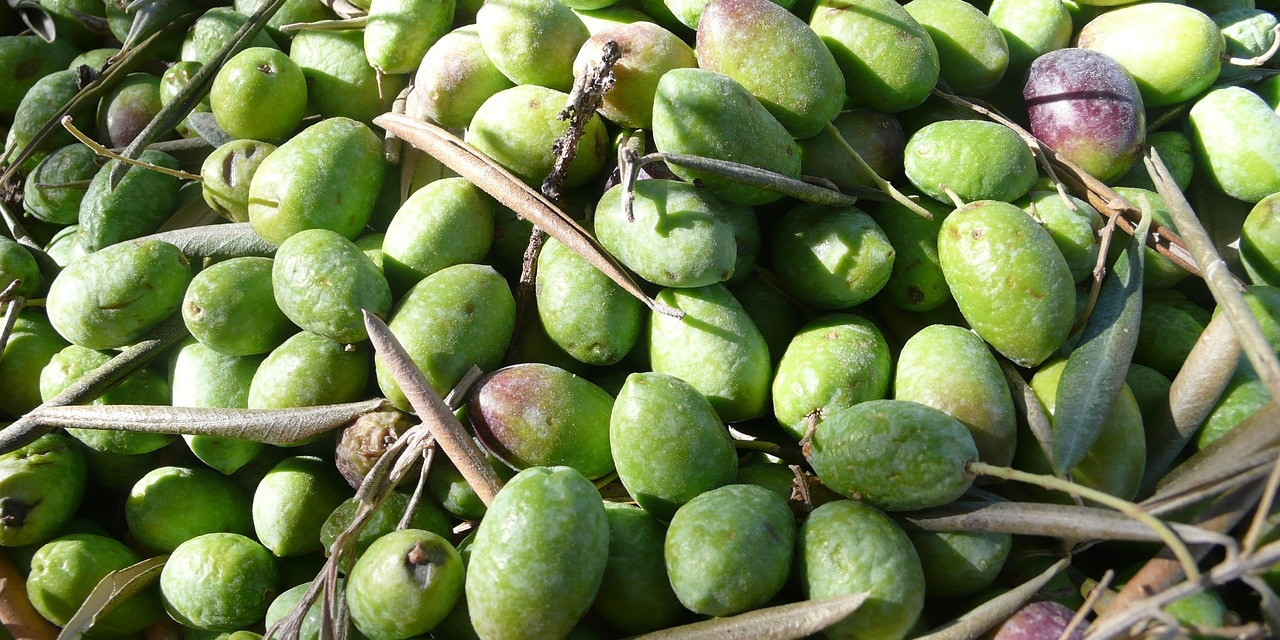 Star Cars di Vittorio Starace