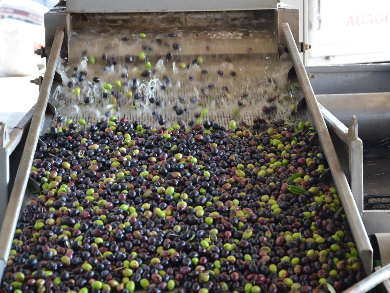 Star Cars di Vittorio Starace