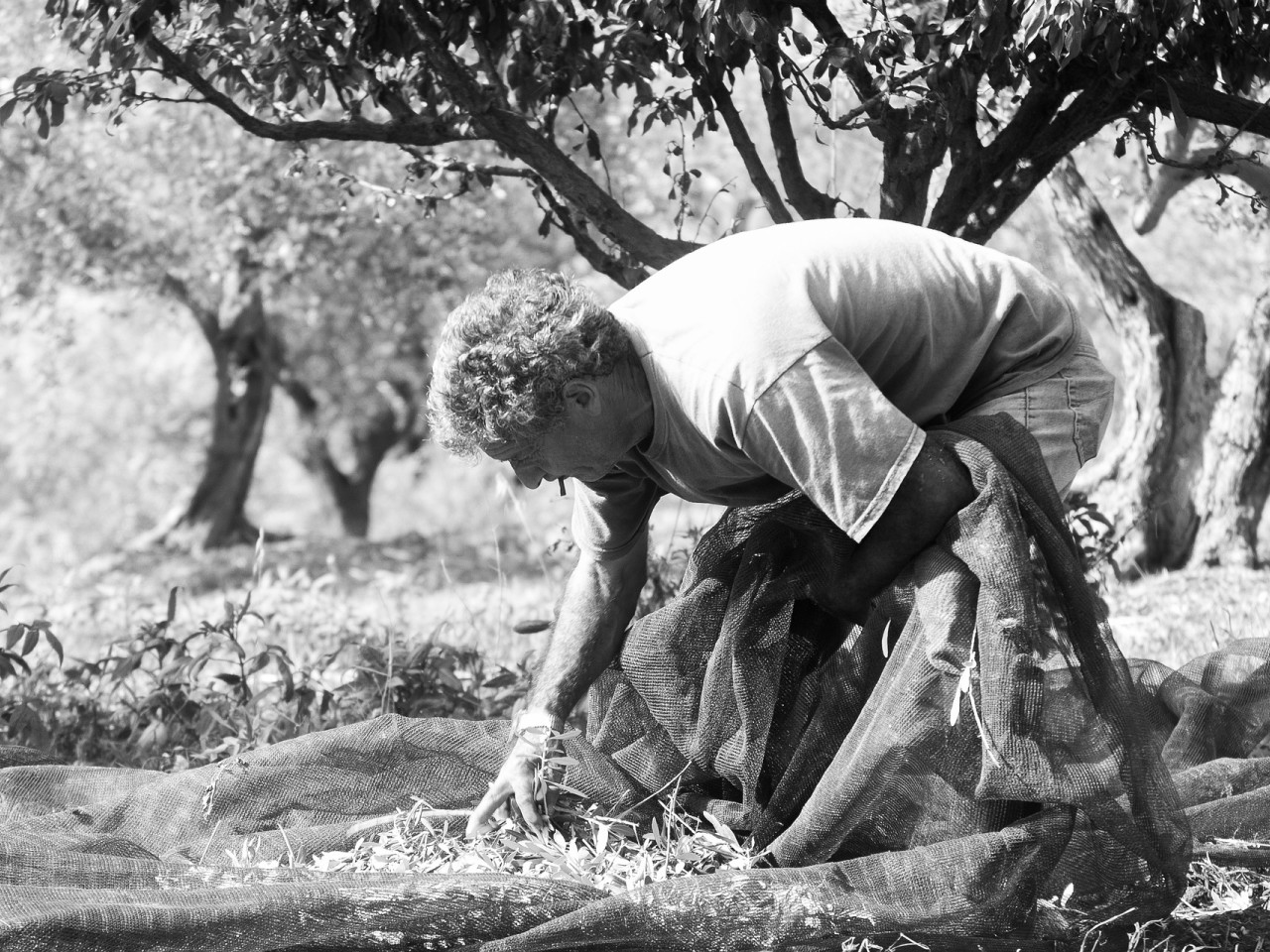 Star Cars di Vittorio Starace