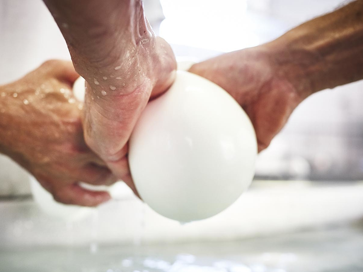 Star Cars di Vittorio Starace