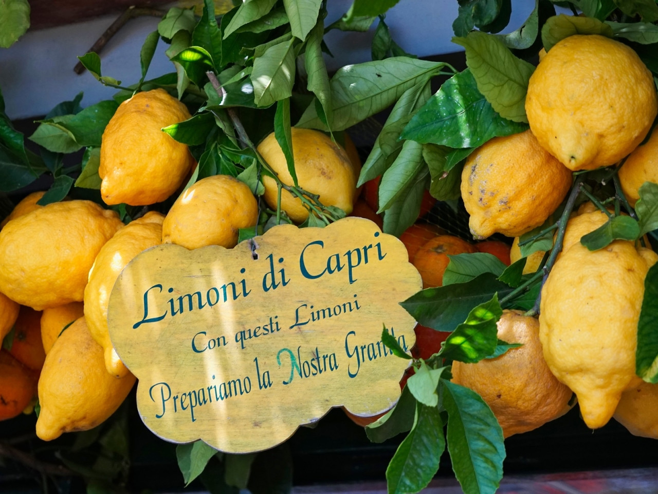 Star Cars di Vittorio Starace