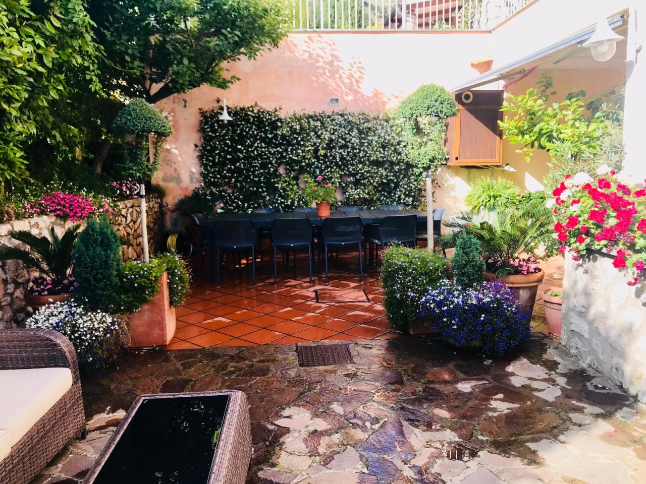 Star Cars di Vittorio Starace