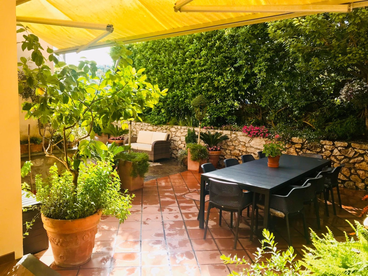 Star Cars di Vittorio Starace