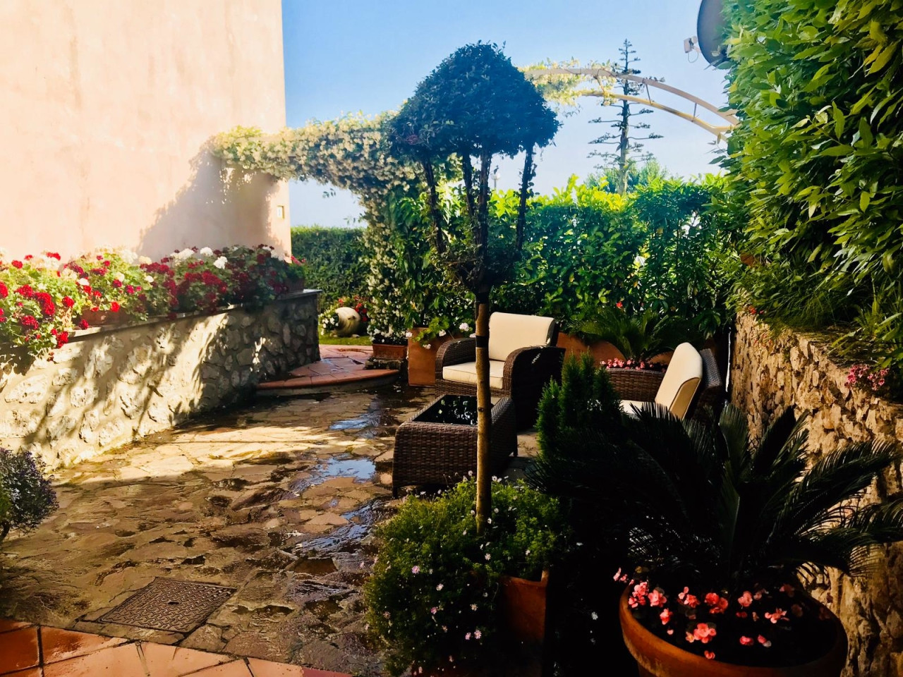 Star Cars di Vittorio Starace