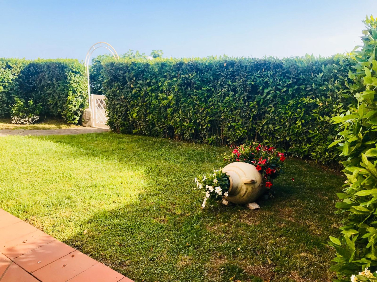 Star Cars di Vittorio Starace