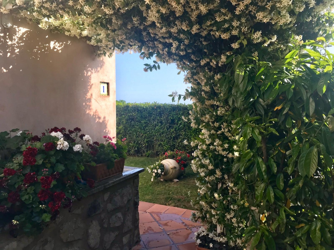 Star Cars di Vittorio Starace