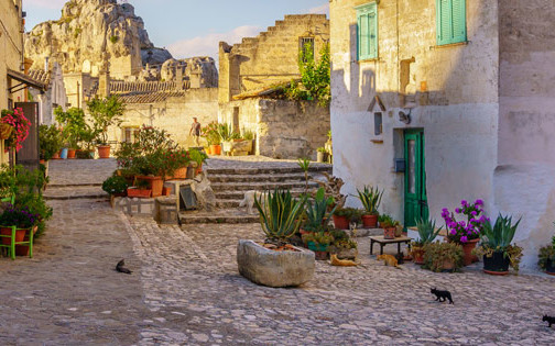 Star Cars di Vittorio Starace