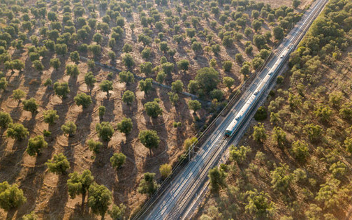 Star Cars di Vittorio Starace