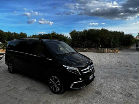 Star Cars di Vittorio Starace