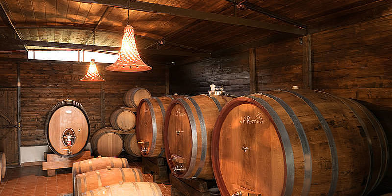 Star Cars di Vittorio Starace